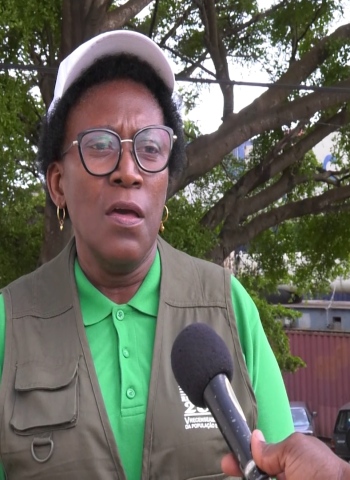 Terceiro recenseamento geral agrícola termina em meados de dezembro